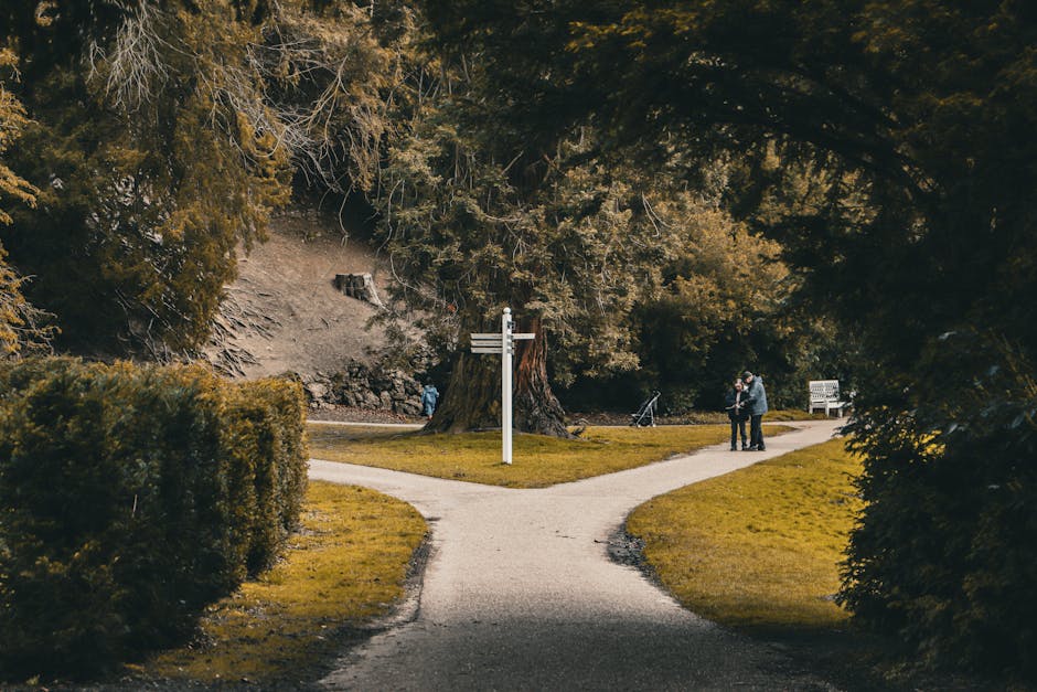 A Probabilistic Framework for Career Decisions