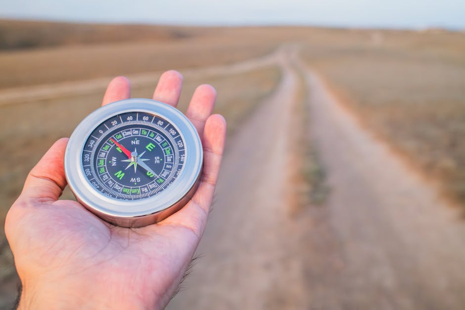 Compass representing how status quo bias anchors decisions to the default option