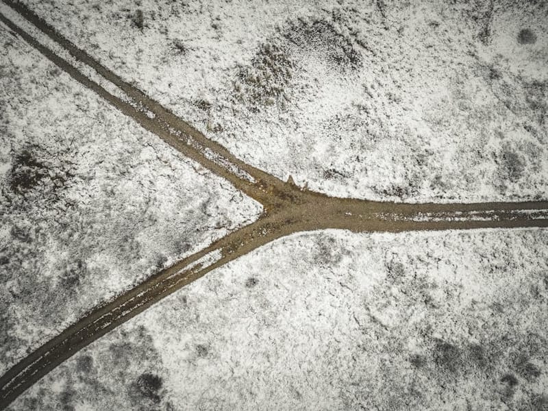Forked paths through a forest, illustrating a branching decision with multiple possible outcomes.