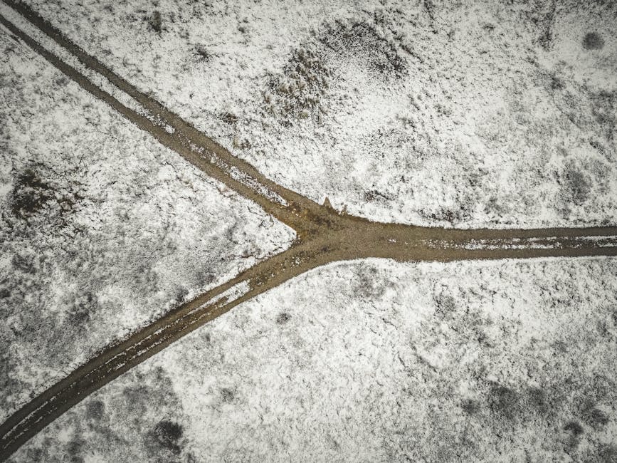 Forked paths through a forest, illustrating a branching decision with multiple possible outcomes.