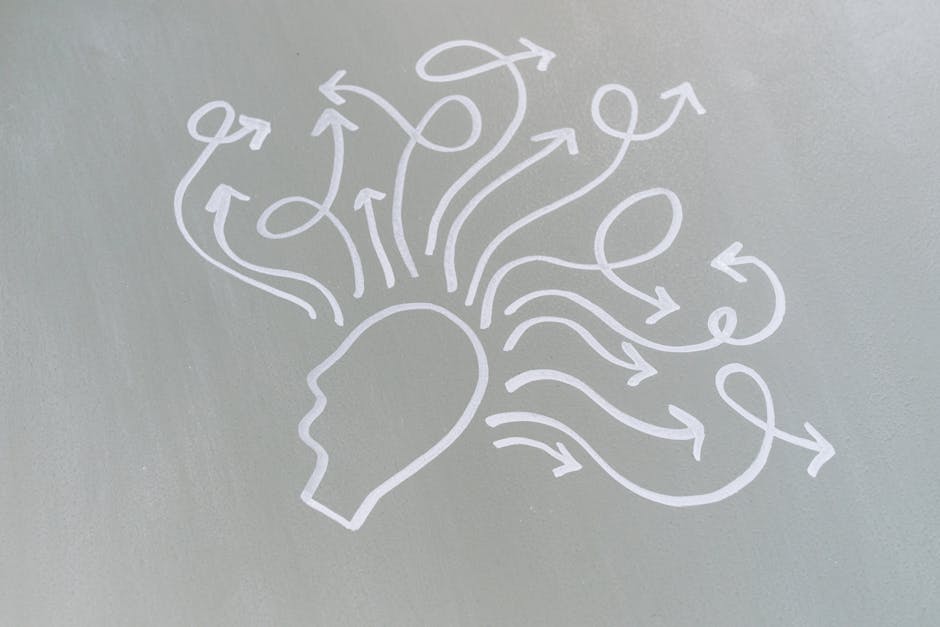 Stylised illustration of two interconnected brain hemispheres, evoking Kahneman's System 1 and System 2 thinking.